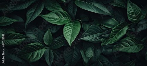 a close up of a bunch of leaves  in the style of dark paradise  photorealistic compositions