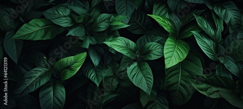 a close up of a bunch of leaves  in the style of dark paradise  photorealistic compositions