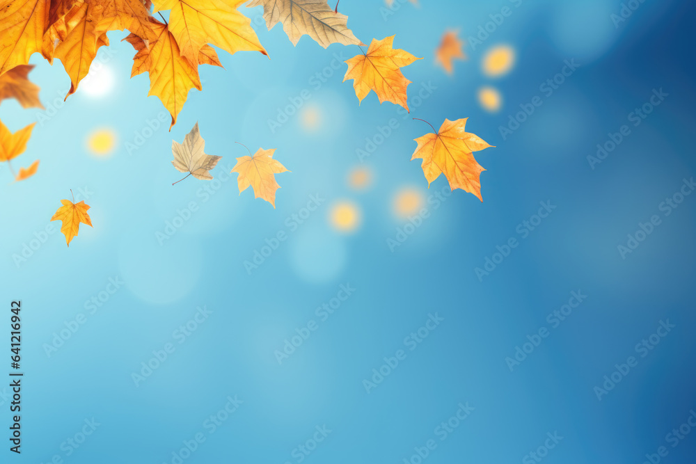 Yellow and orange fallen maple leaves on blue background. Abstract autumn natural backdrop. Fall season Yellow and orange fallen maple leaves on blue background. Abstract autumn natural backdrop. Fall season