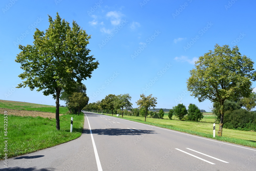 rural avenue in Luxembourg