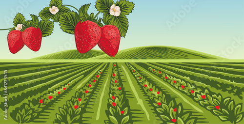 strawberry garden vector with hills in the background, with bright clouds and beautiful views 