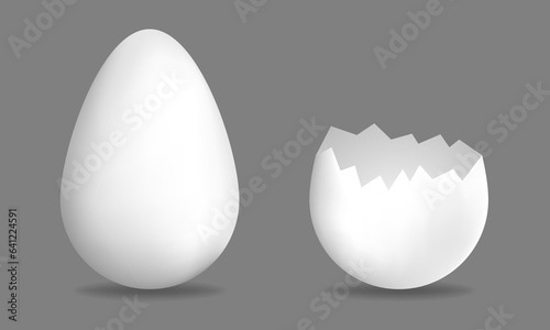 Realistic eggs. Large egg and cracked egg. Vector illustration