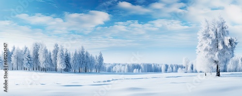 Panoramic view of covered with frost © neirfy