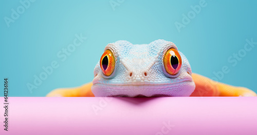 Creative animal concept. Lizard peeking over pastel bright background. advertisement, banner, card. copy text space. birthday party invite invitation