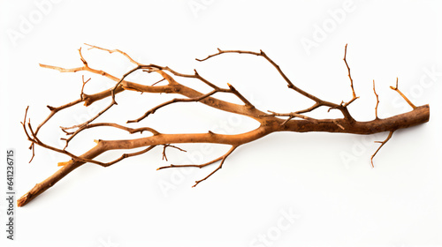 Dry branches twigs for camp fire isolated on white background