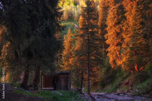 Wooden shelter in the forest in the mountains at sunset, Almaty Butakovskoe gorge in Kazakhstan in summer photo
