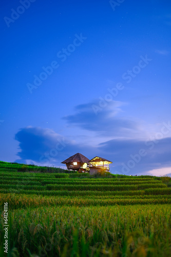 beautiful landscape bamboo hut on terraced green rice fields in cloudy day at blue twilight evening, ban pa pong pieng, Mae chaem, Chiang mai