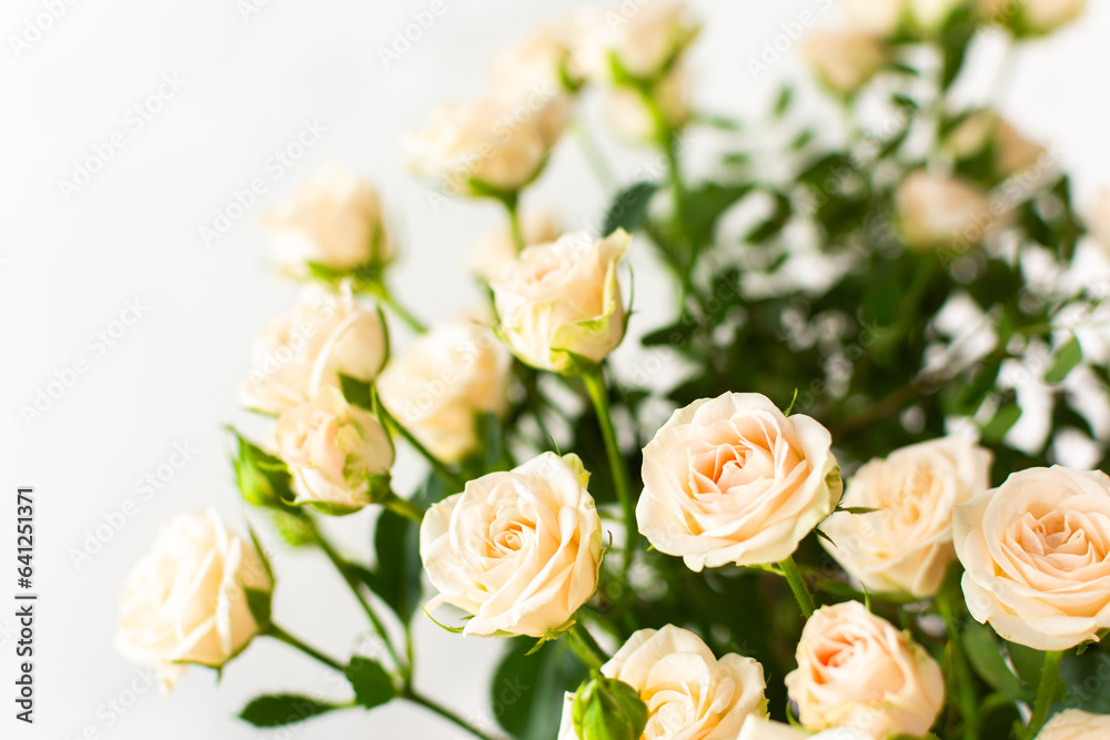 A bouquet of delicate cream roses close up, home decoration with flowers, a festive bouquet of roses for a birthday or wedding