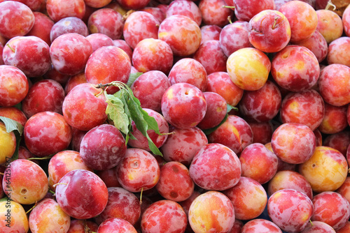 healthy food natural background of fresh plums