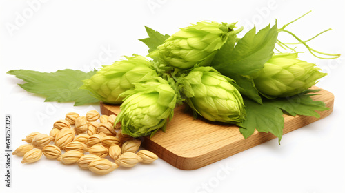 Fresh hops leaf and wheat grains isolated on white background