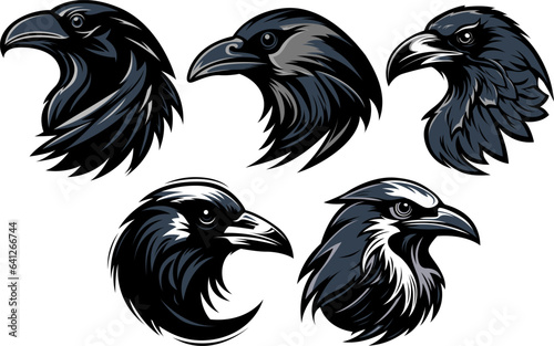 Crow head mascot variant set. Bird isolate on white. Raven animal illustration.
