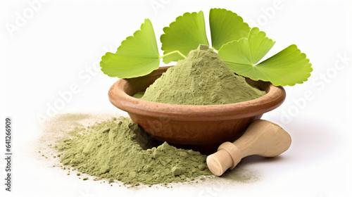 Ginkgo biloba green leaf with pile powder in clay powder