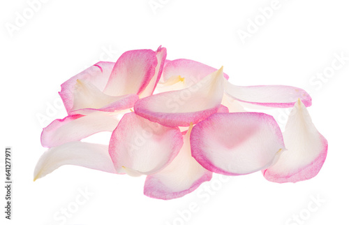 pink rose petals isolated