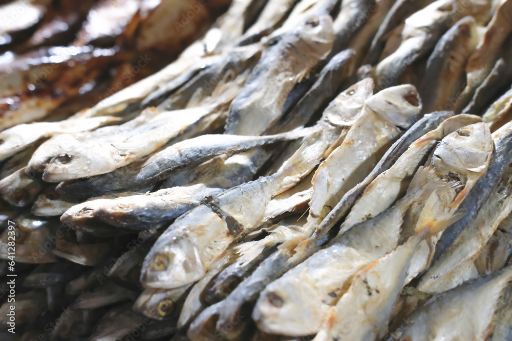 Salted Fish 06