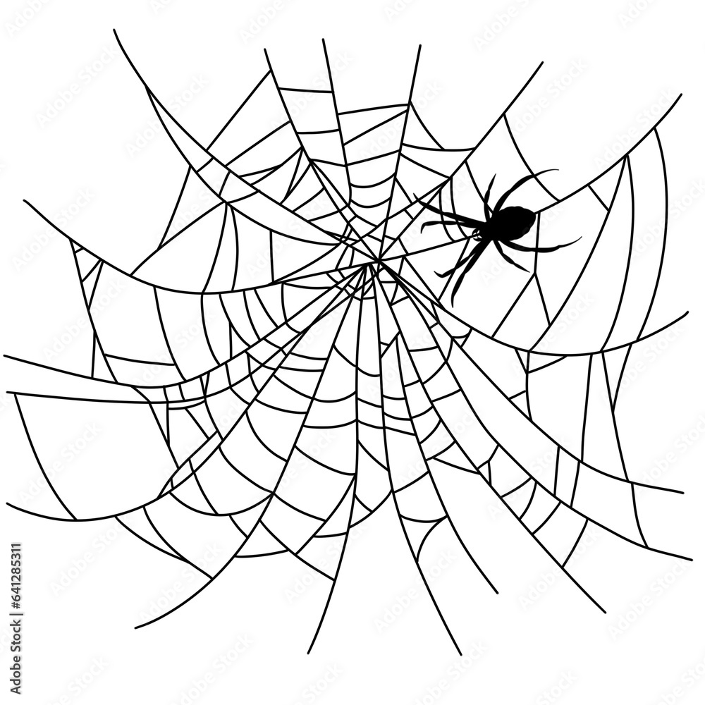 Fototapeta premium Halloween spider web and spider black doodle outline. 