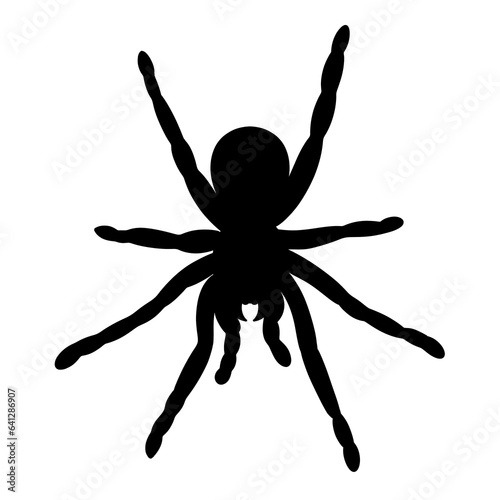 Spider black doodle outline. 