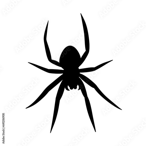 Spider black doodle outline. 