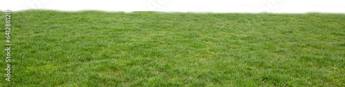 Digital png illustration of green grass on transparent background