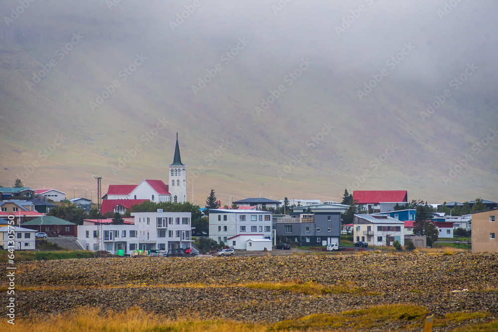 Horses at the meadows of Iceland