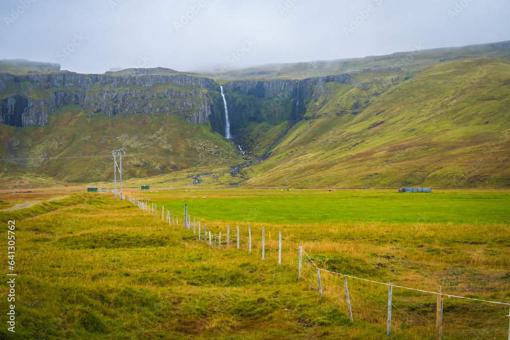 Horses at the meadows of Iceland