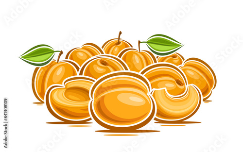 Vector logo for Apricots, decorative horizontal poster with cartoon design fruity apricot composition, fruit print with whole and chopped yellow triangle part of raw juicy apricots with green leaves