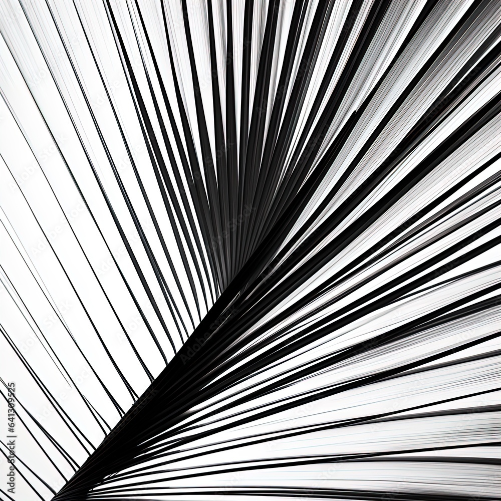 abstraction palm leaves, black and white on white background. abstraction palm leaves, black and white on white background.