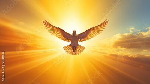 a bird flying with the sunlight behind it