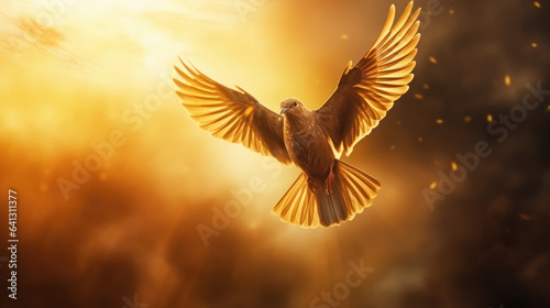 Flying dove against sun and blurred background