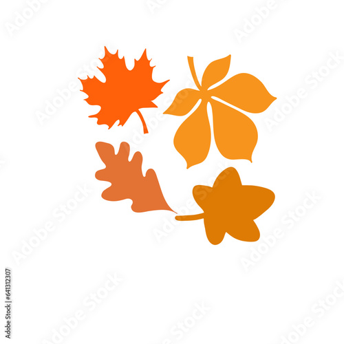 autumn maple leaves