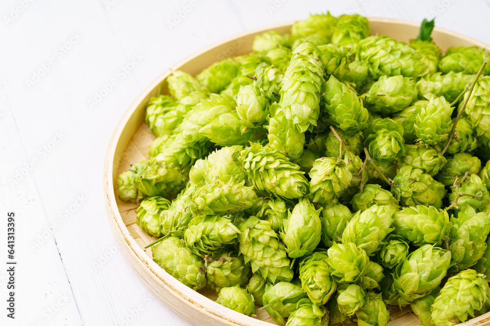 Fresh hops on a monochromatic background Fresh hops on a monochromatic background
