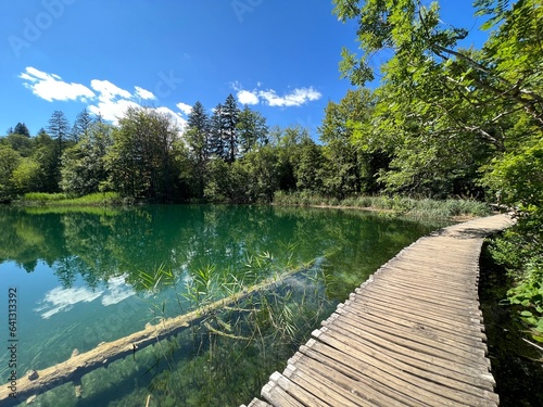 Wooden paths and walkways along the lakes and through the forest in the Plitvice Lakes National Park - Plitvica, Croatia (Drvene staze i šetnice u Nacionalnom parku Plitvička jezera - Hrvatska) photo