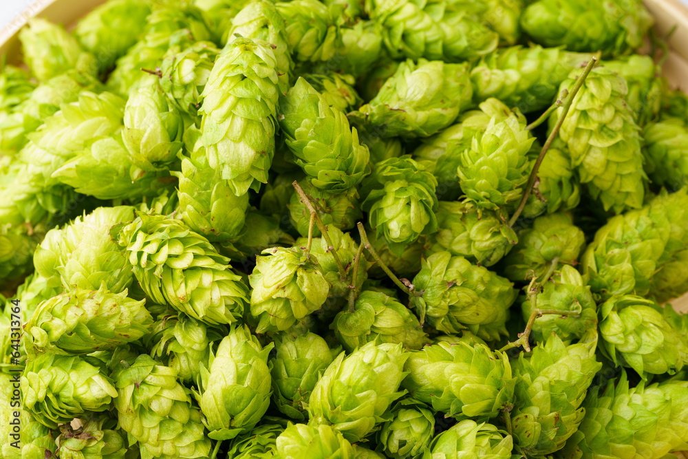Fresh hops on a monochromatic background Fresh hops on a monochromatic background