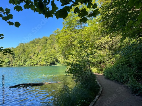 Wooden paths and walkways along the lakes and through the forest in the Plitvice Lakes National Park - Plitvica, Croatia (Drvene staze i šetnice u Nacionalnom parku Plitvička jezera - Hrvatska) photo