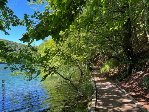 Wooden paths and walkways along the lakes and through the forest in the Plitvice Lakes National Park - Plitvica  Croatia  Drvene staze i   etnice u Nacionalnom parku Plitvi  ka jezera - Hrvatska 