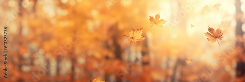 Autumn maple leaves on sunny blurred trees. Fall forest background. Banner