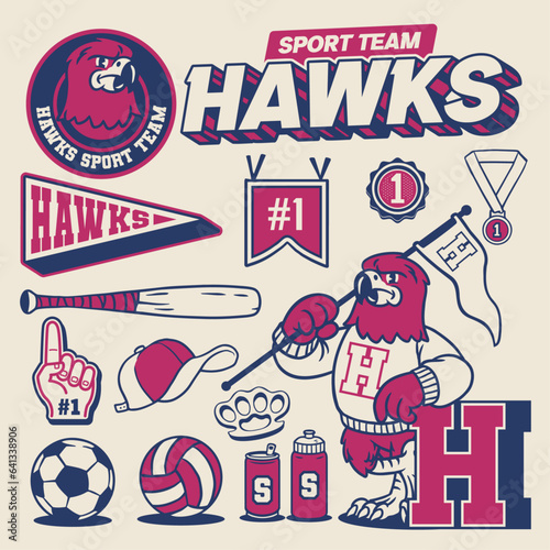 Sport Object Collection of Hawk Mascot Vintage Style