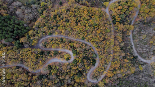 A small dirt road winds through a forest, amidst the incredible colours of the autumn foliage in the Viterbo countryside.Aerial view made with a drone.