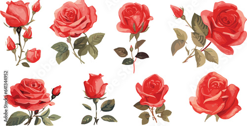 Watercolor red rose clipart for graphic resources
