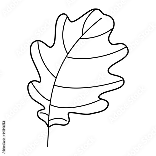 Oak leaf contour drawing isolated cutout black and white vector clipart illustration. Autumn leaves line art design element. Nature pictogram, logo or icon. Tree foilage simple cartoon doodle.