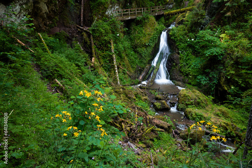 Wasserfall in Lotenbachklamm in der Wutachschlucht i, Schwarzwald in Baden-Württemberg in Deutschland photo