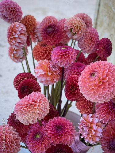 bouquet of dahlias