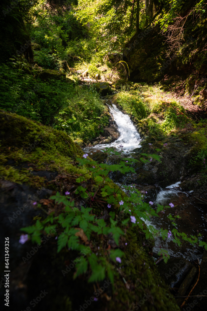 Wasserfall in Lotenbachklamm in der Wutachschlucht i, Schwarzwald in Baden-Württemberg in Deutschland