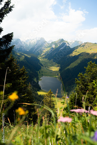 Sämtisersee im Appenzeller Land in St. Gallen in der Schweiz Berge mit See und Blumen im Vordergrund