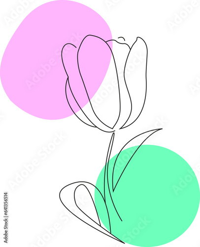 illustration of a tulip vector