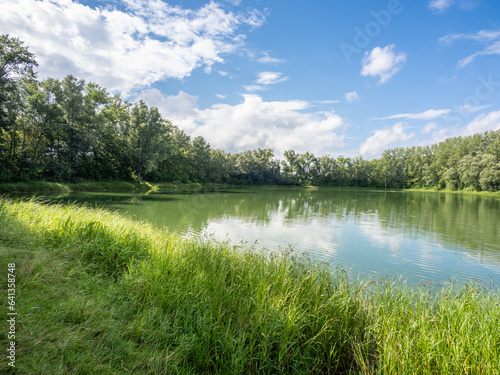 Fototapeta Naklejka Na Ścianę i Meble -  Green landscape and pond in Germany.