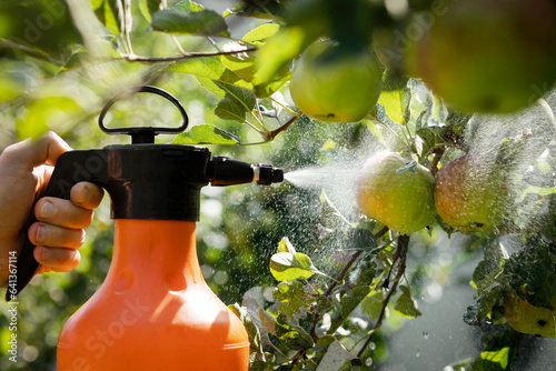 Spraying Pesticides Apple Tree with Spray Bottle. Copy Space. Closeup. Spray against Diseases Plant and Pests. Protect Apple Harvest.