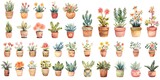 watercolor painting style illustration of cute boho flower pot plants collection set, Generative Ai