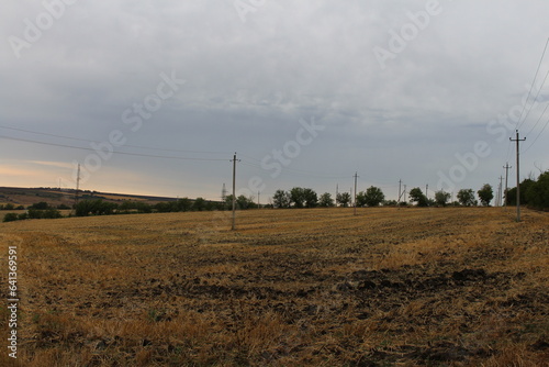 A field with power lines and trees