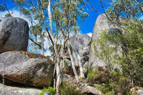 Huge granite boulders and eucalyptus trees along the Castle Rock Trail in Porongurup National Park, Western Australia
 photo