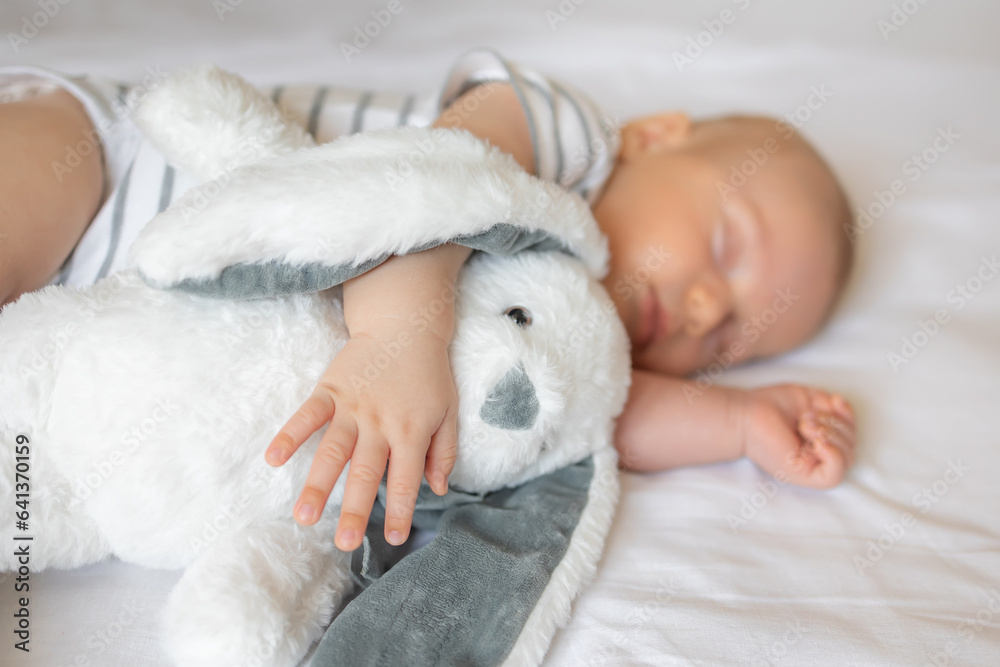 sweet newborn baby sleeps with a toy on a white background
